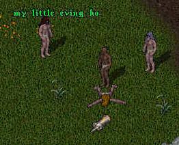 Image6.jpg (55584 bytes)